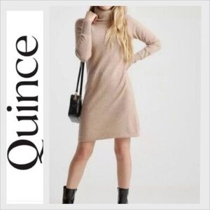 Quince Tan Turtleneck Dress